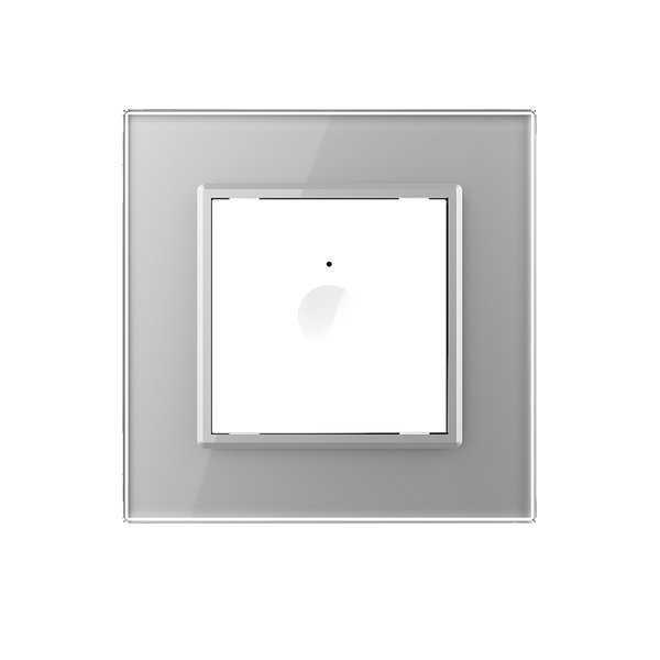 Einfacher Notch-Lichtschalter inkl. Glasrahmen Grau VL-K210/SR-11/15