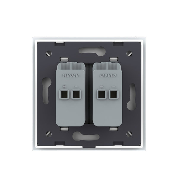 Doppeltes Lautsprecher Anschluss Weiß VL-FCSD-2WPS01-SR-11-A