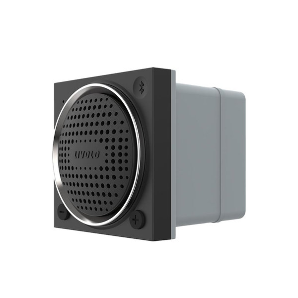 Modul Bluetooth Lautsprecher Schwarz VL-FCF-2BP-Modul